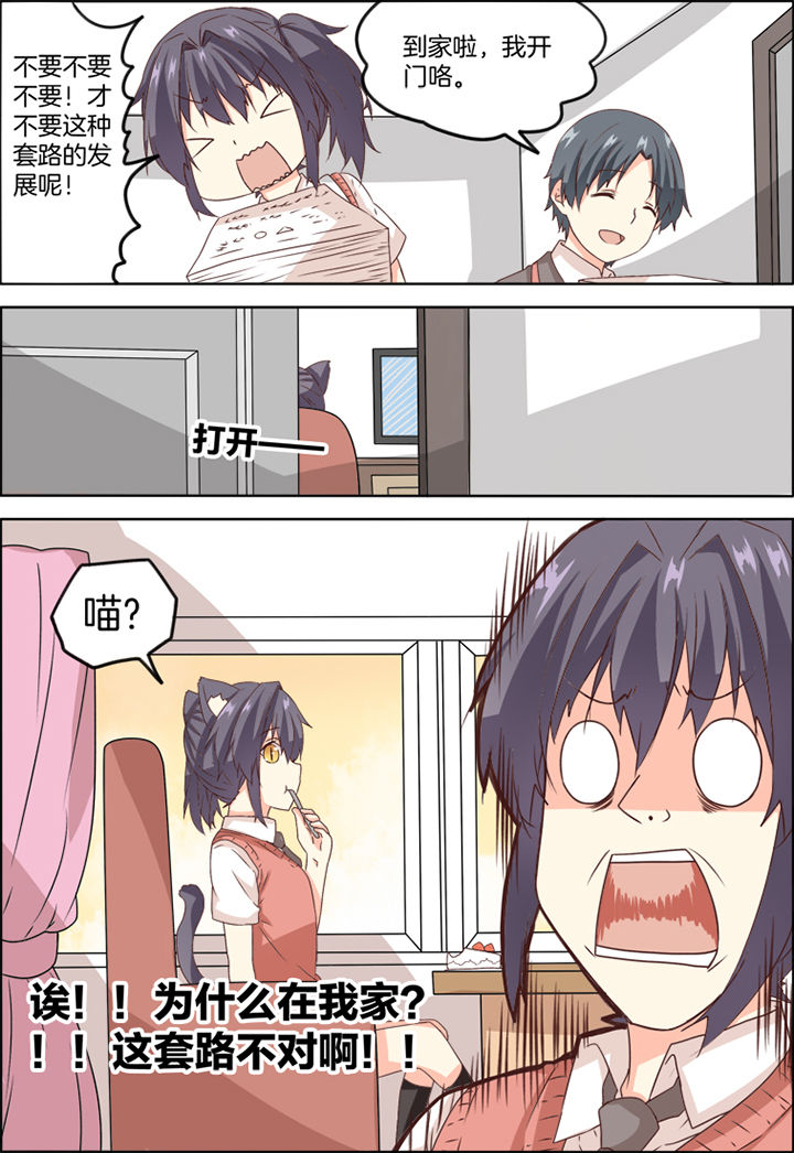 为什么后宫男主的我跑到了百合漫画第13话图