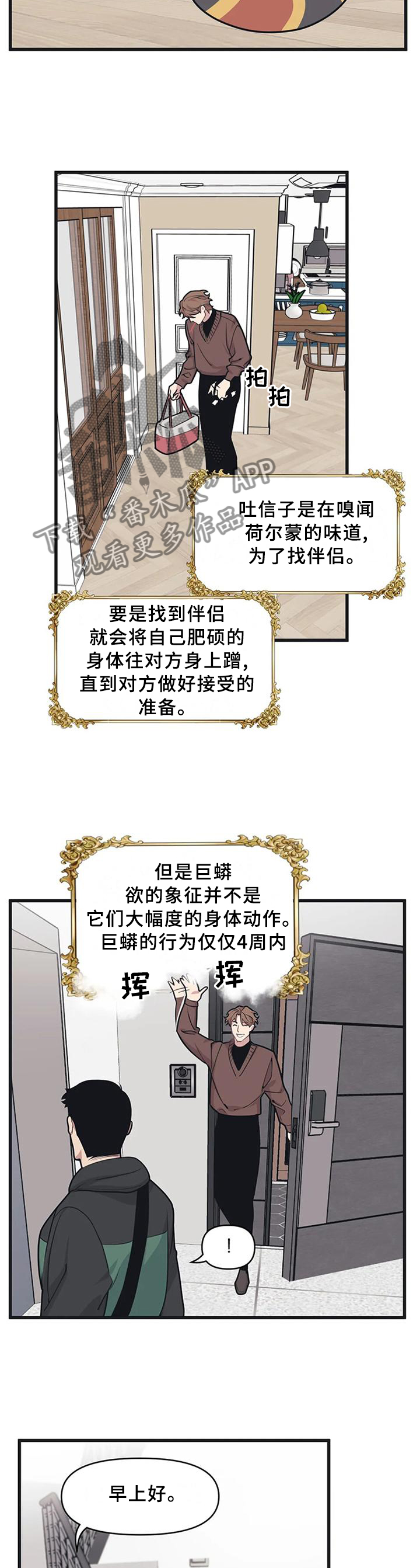 我的BJ邻居第21话图