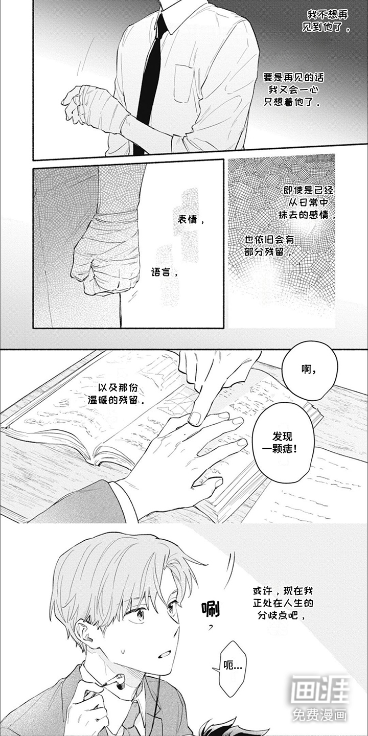 我不会说这是爱情第12话图