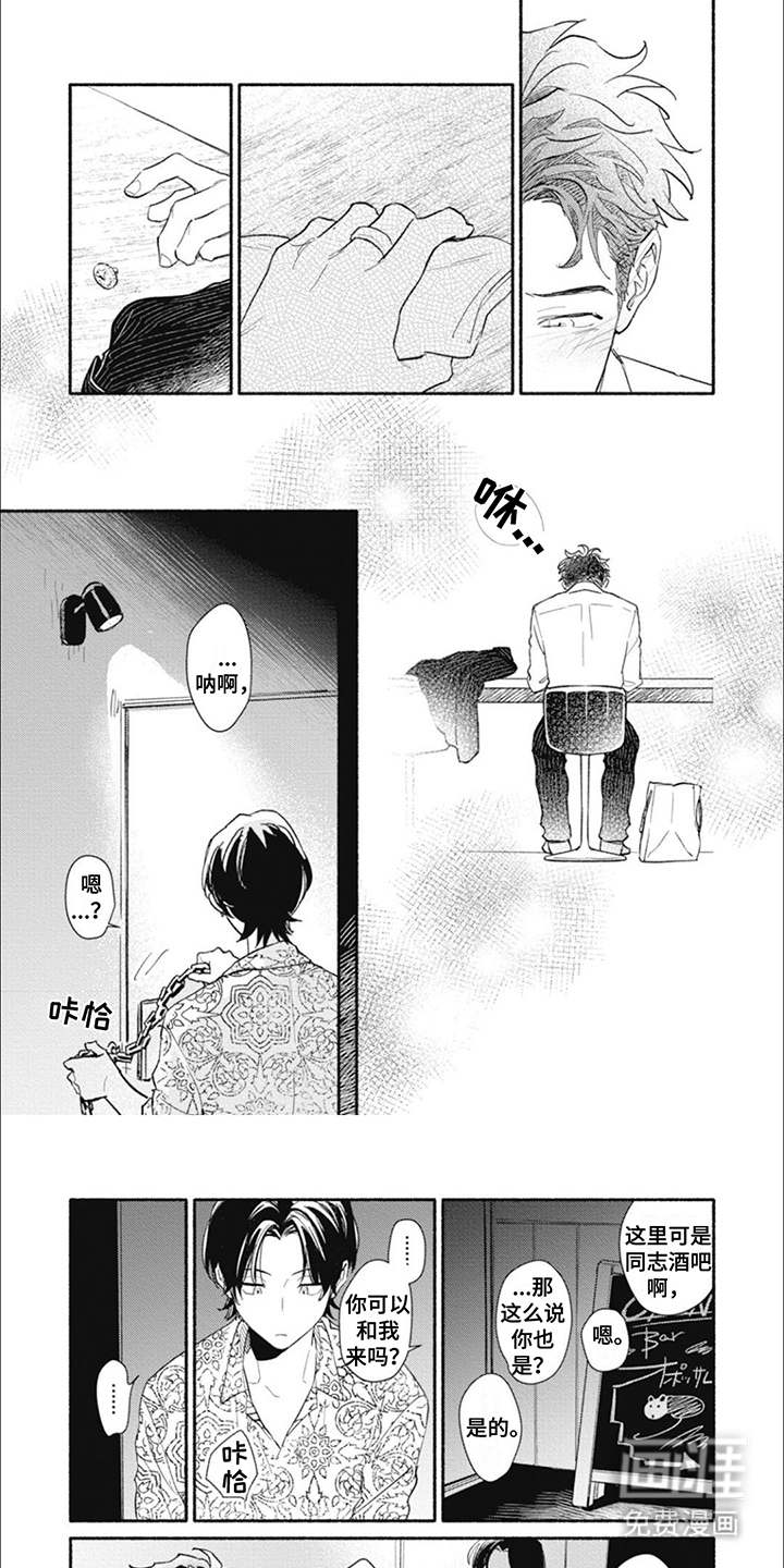 我不会说这是爱情第17话图