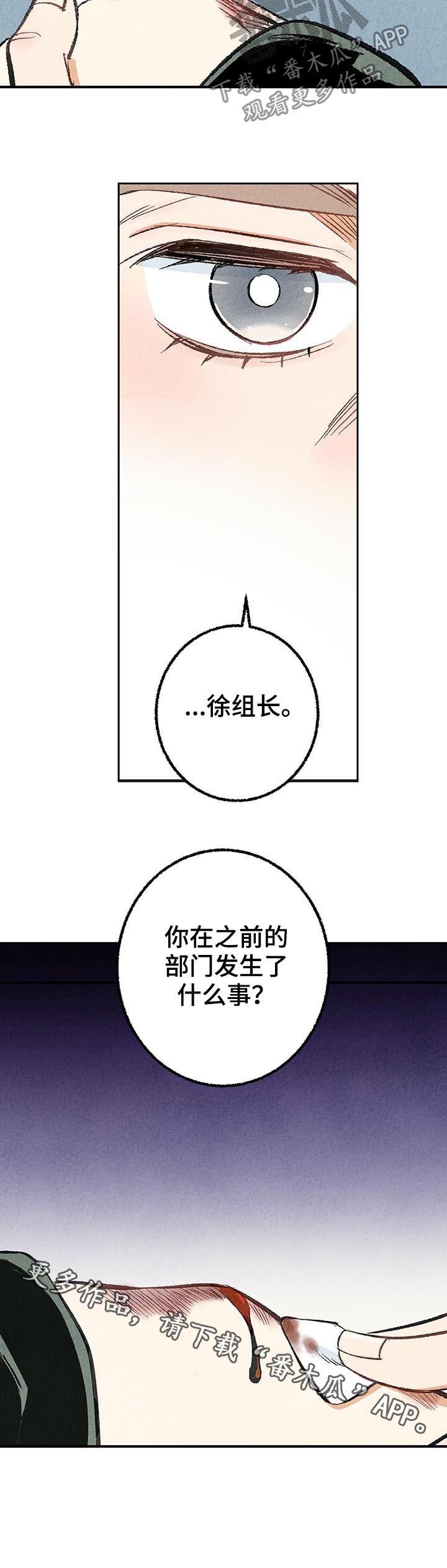 完美伴侣第25话图