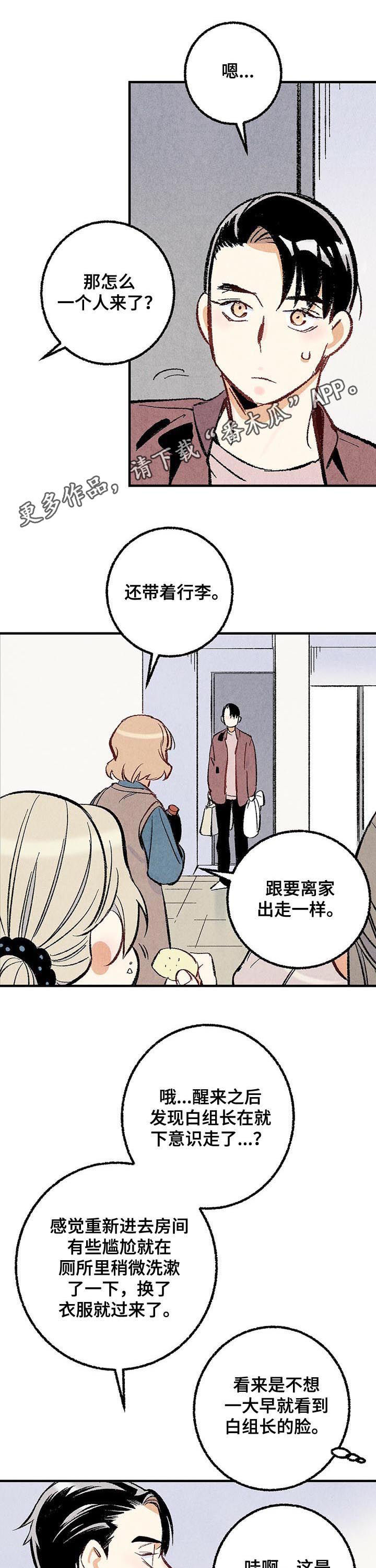 完美伴侣第33话图