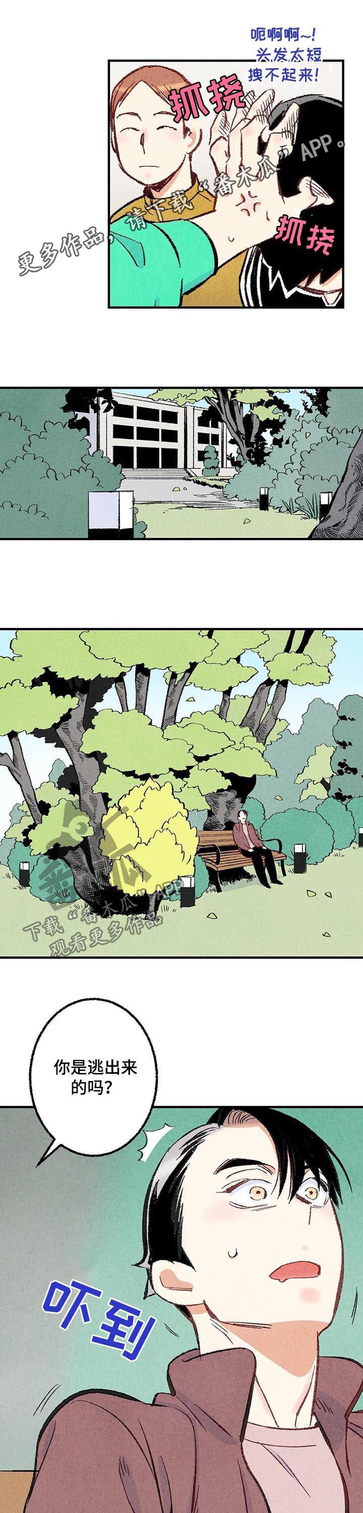 完美伴侣第35话图