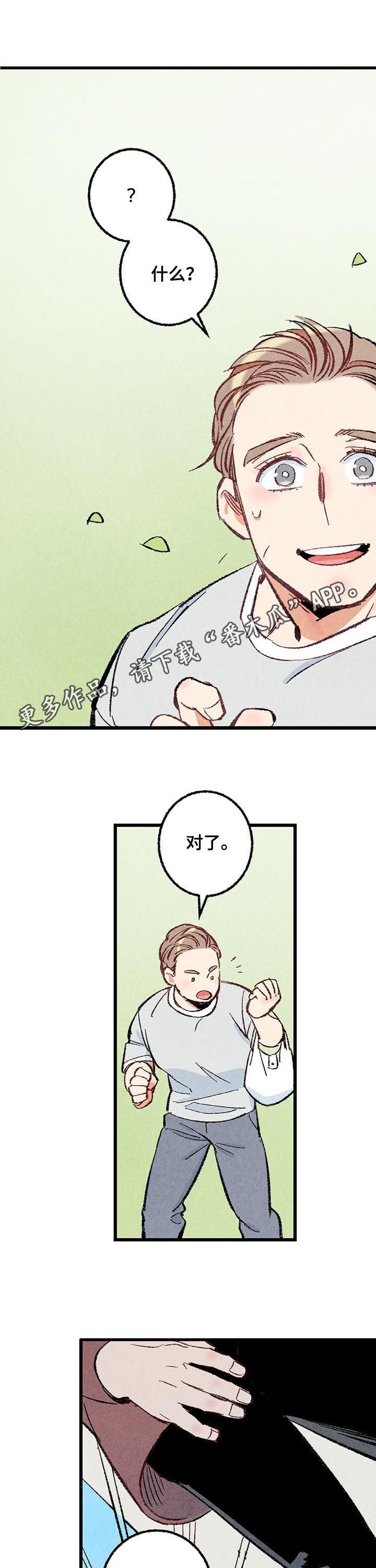 完美伴侣第41话图