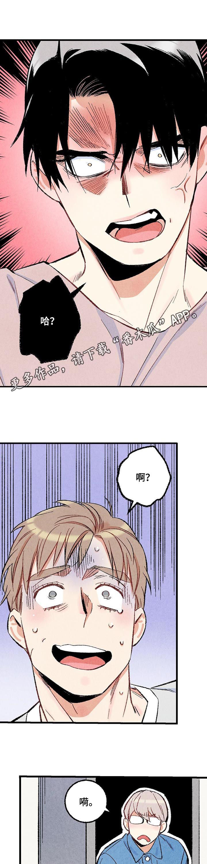 完美伴侣第48话图