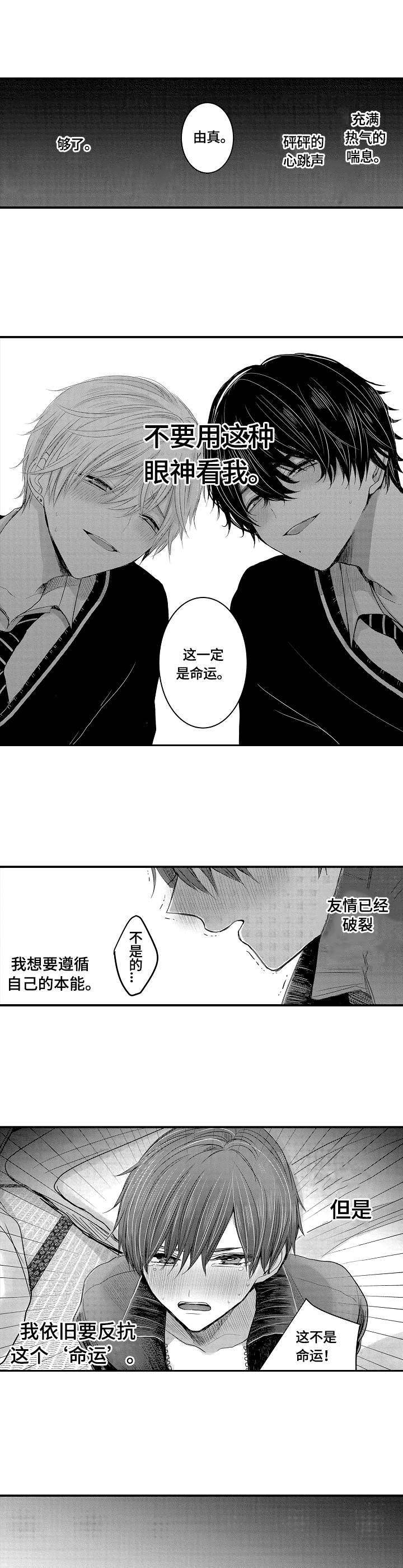 伪造报告第1话图