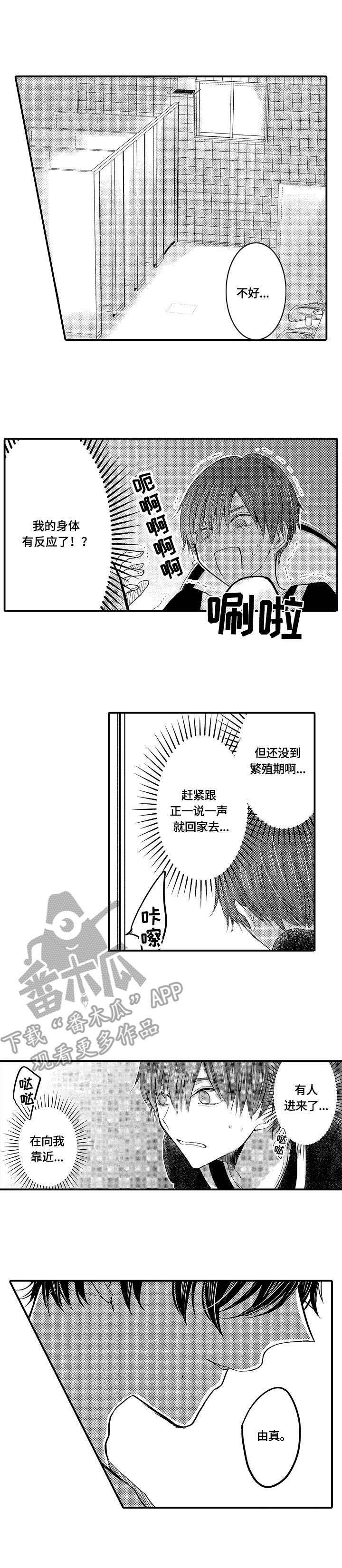 伪造报告第11话图