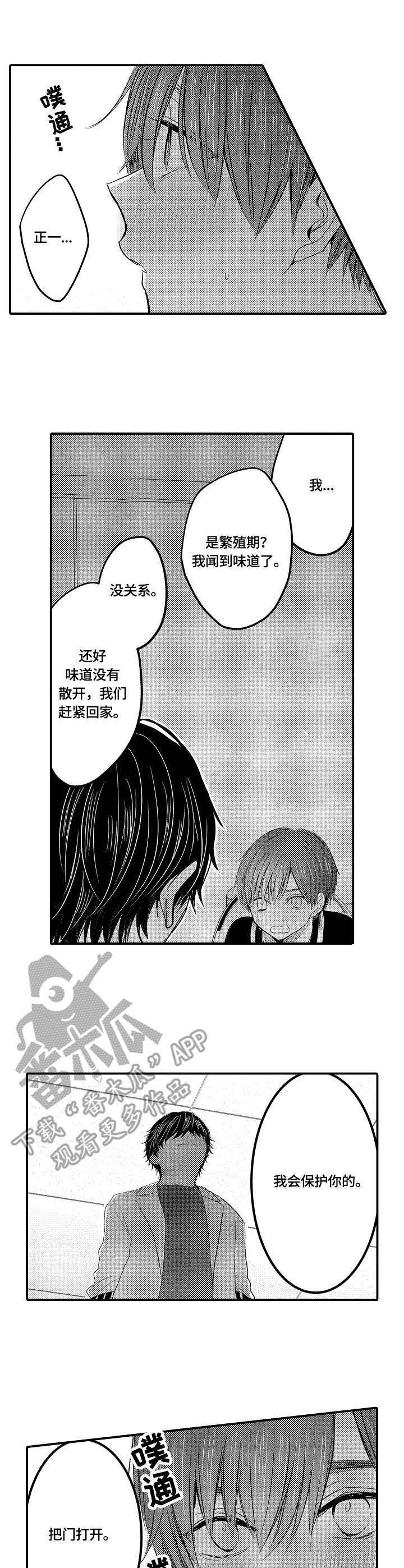 伪造报告第11话图