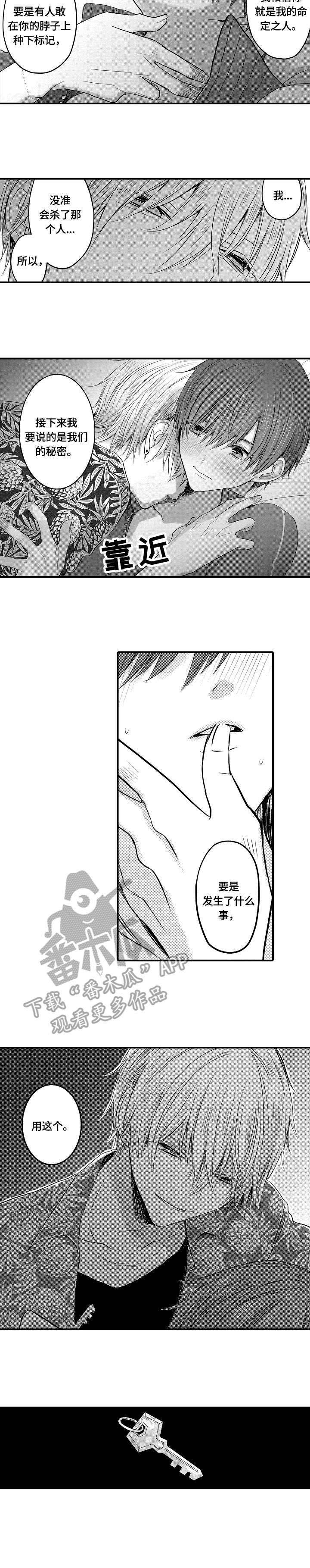伪造报告第17话图