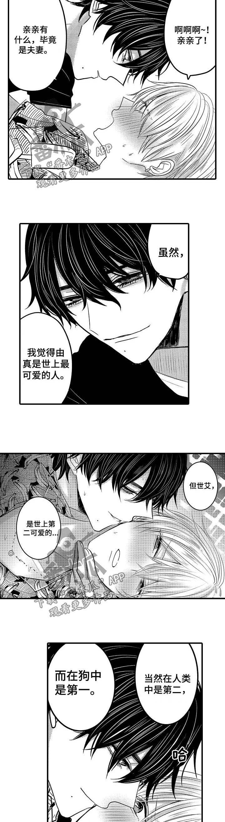 伪造报告第49话图