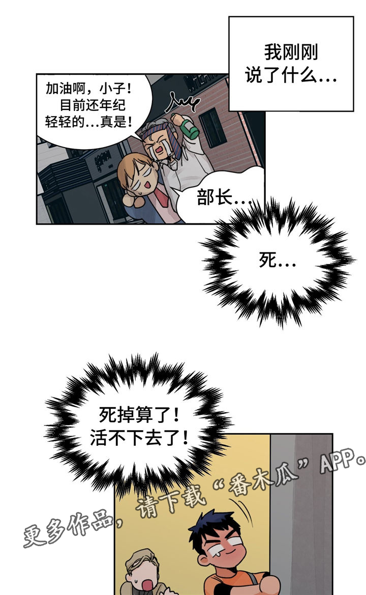 我的医生第19话图