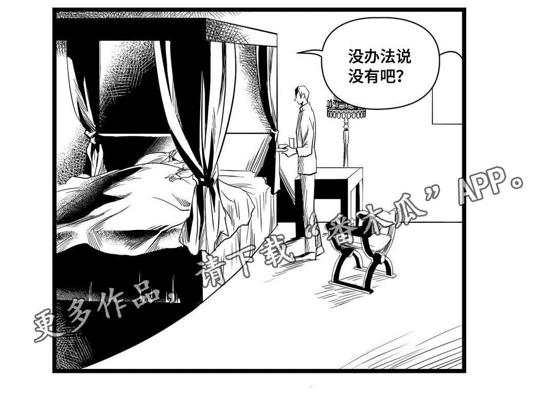 巫师与王子第12话图