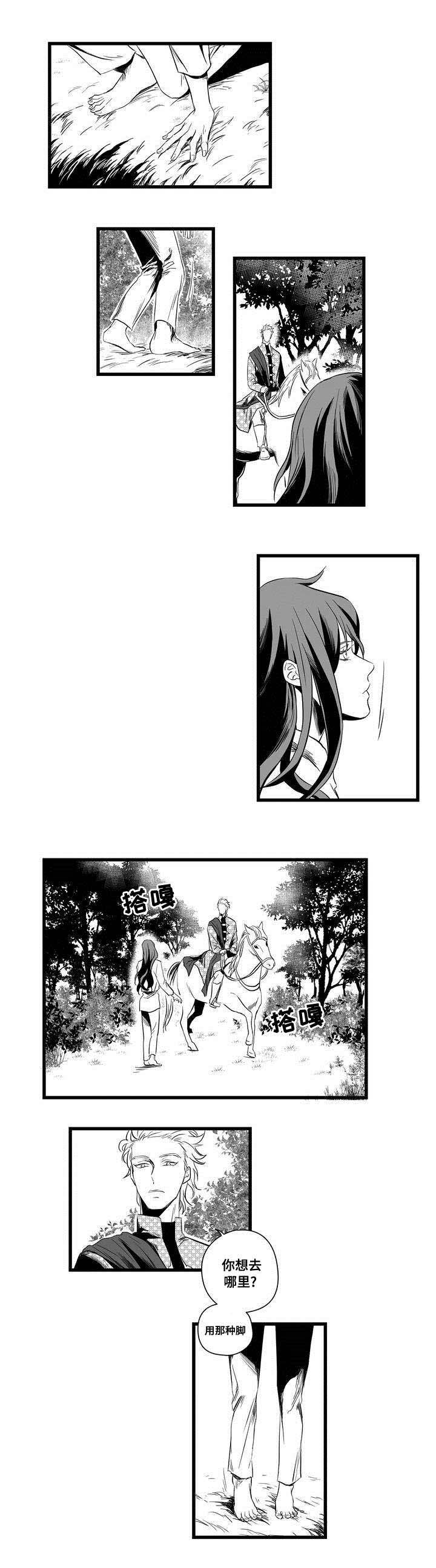 巫师与王子第2话图