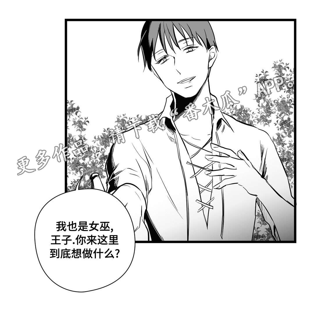 巫师与王子第23话图