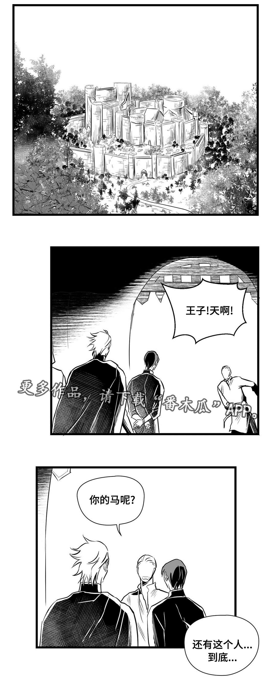 巫师与王子第29话图