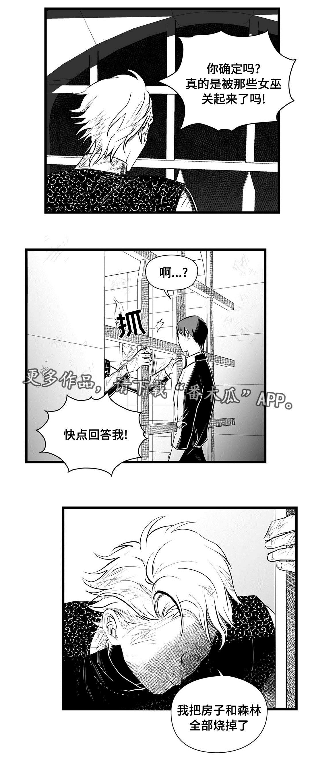 巫师与王子第33话图