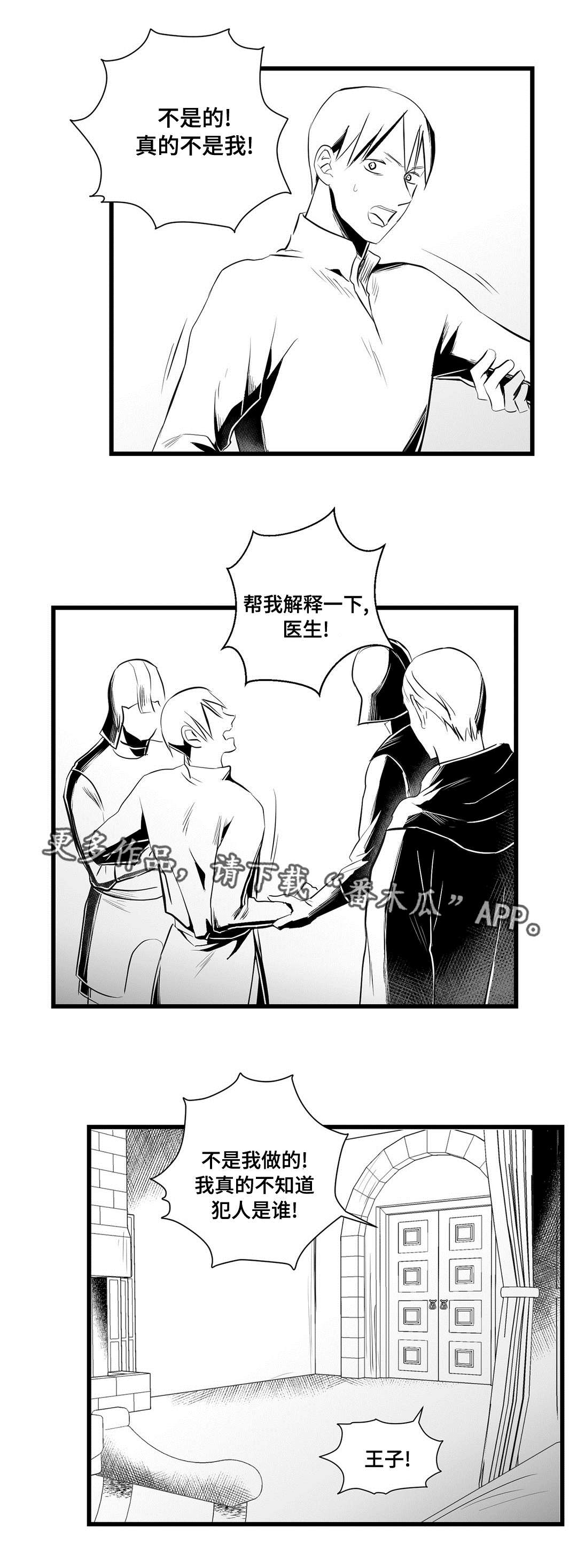 巫师与王子第33话图