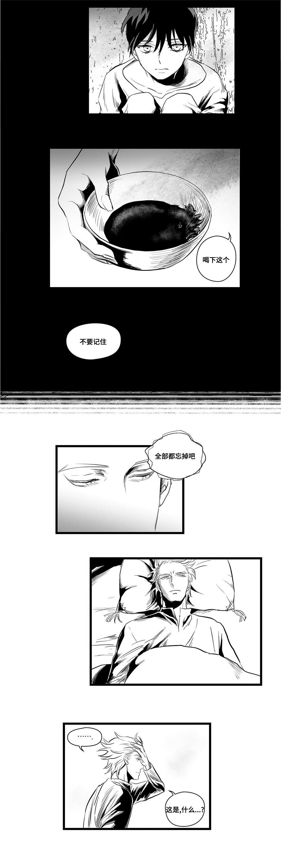 巫师与王子第4话图