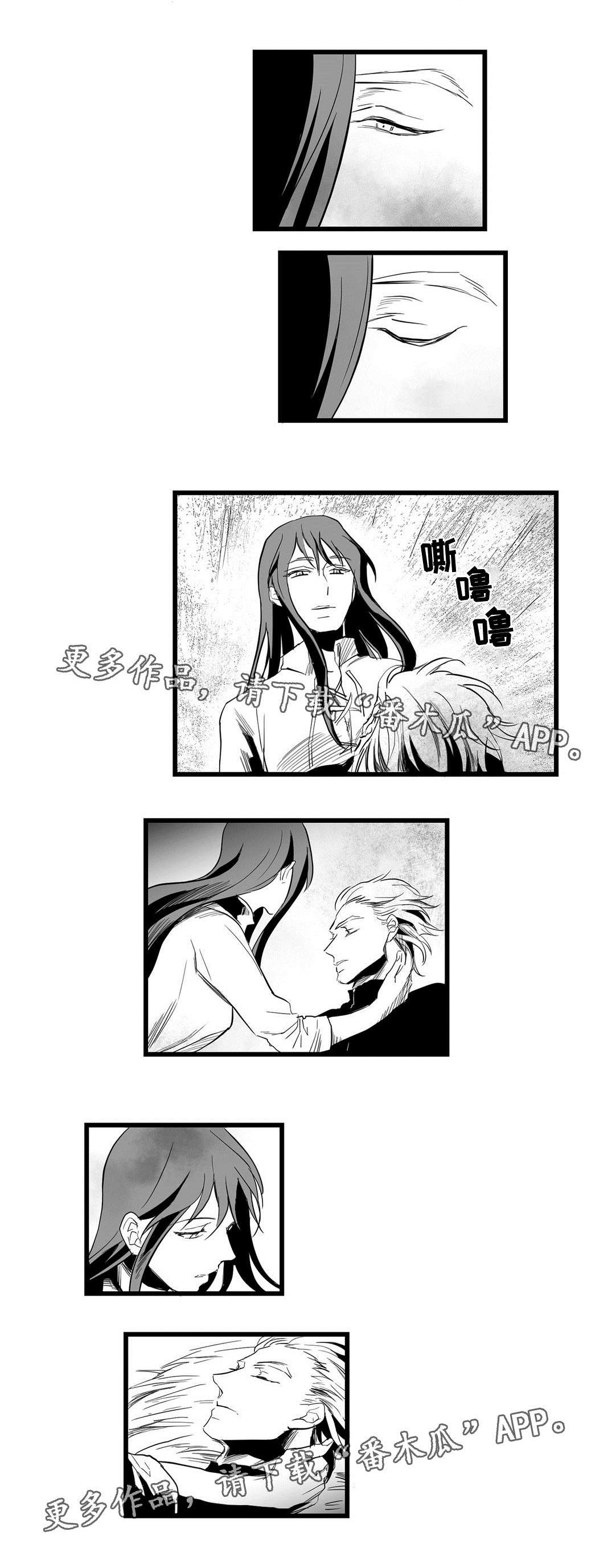 巫师与王子第7话图