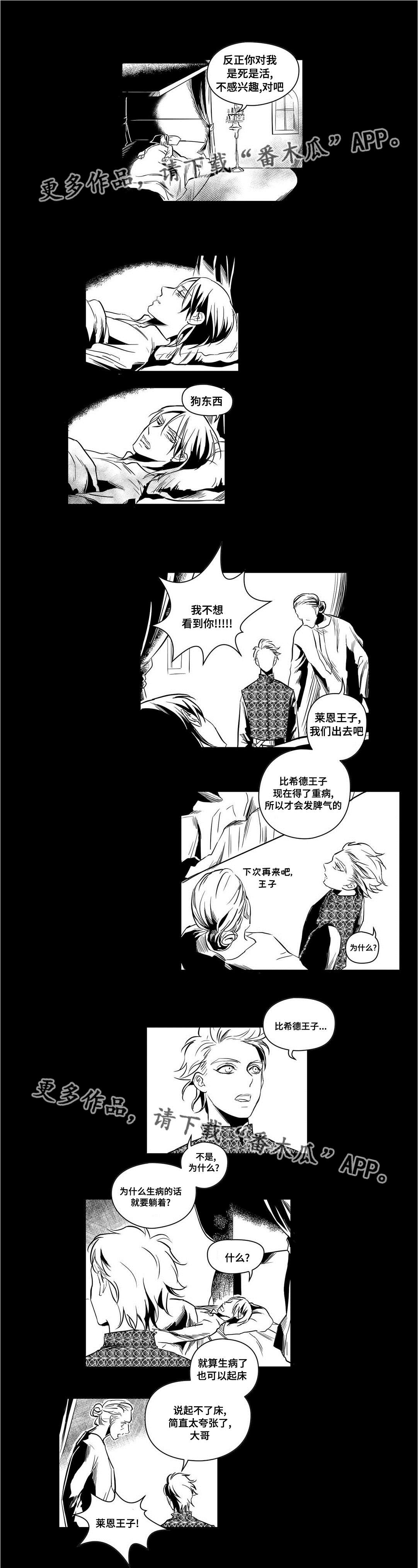 巫师与王子第8话图