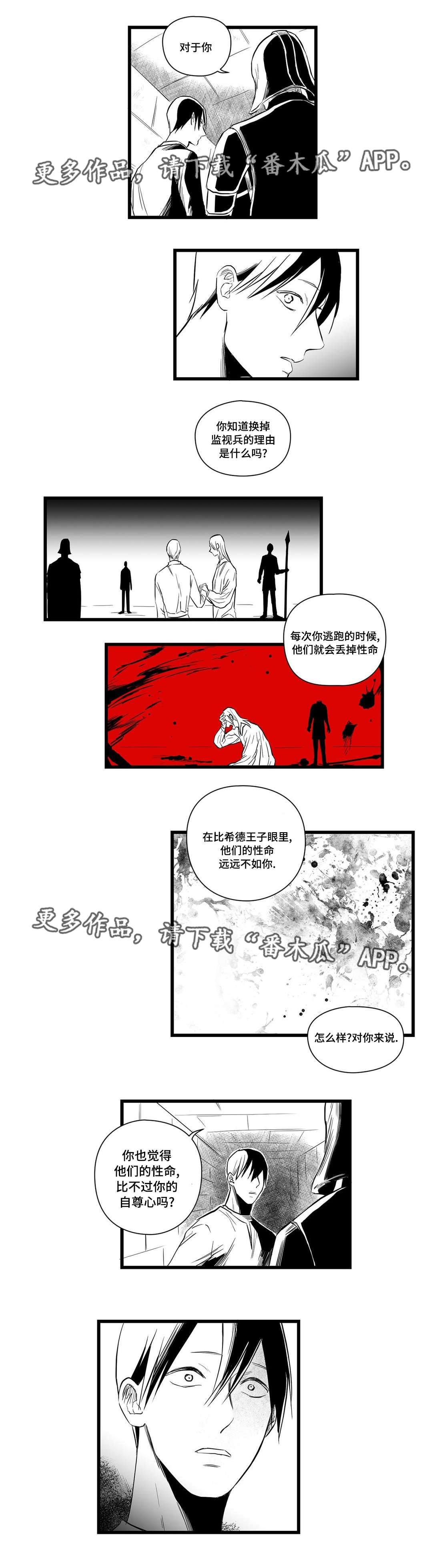 巫师与王子第8话图