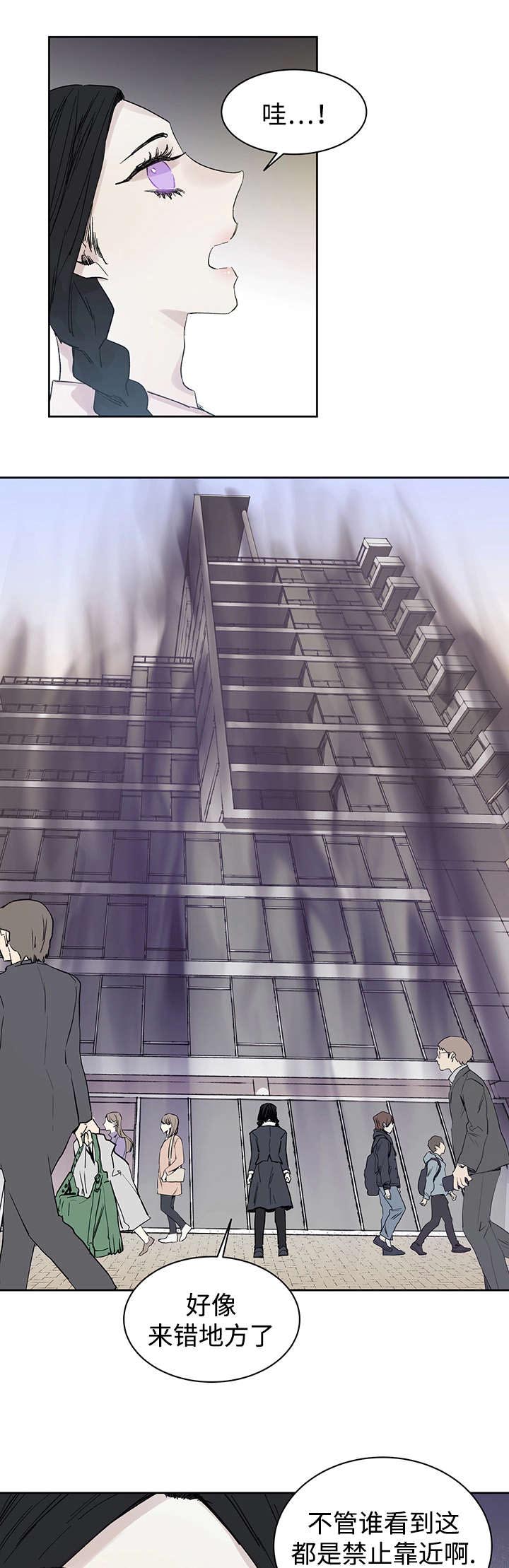 巫师与狼第15话图