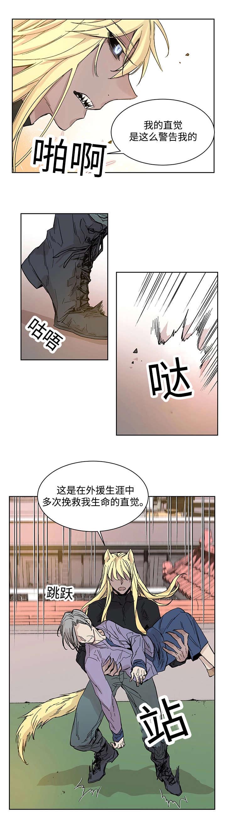 巫师与狼第19话图