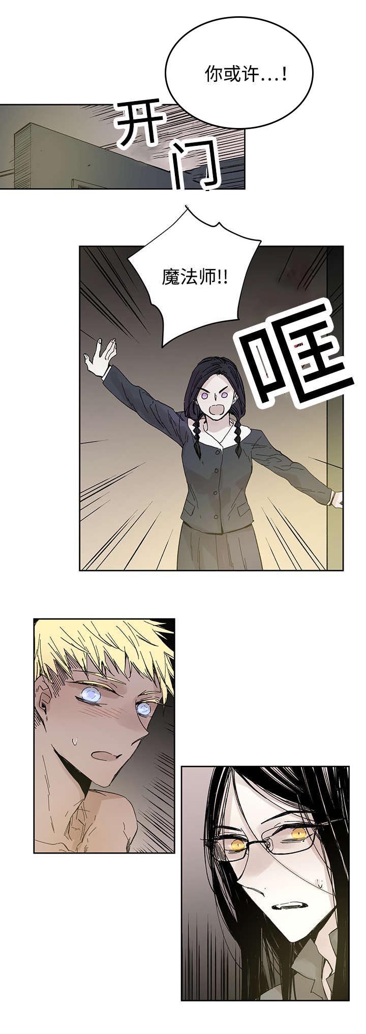 巫师与狼第25话图