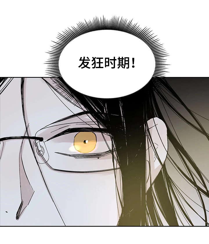 巫师与狼第27话图