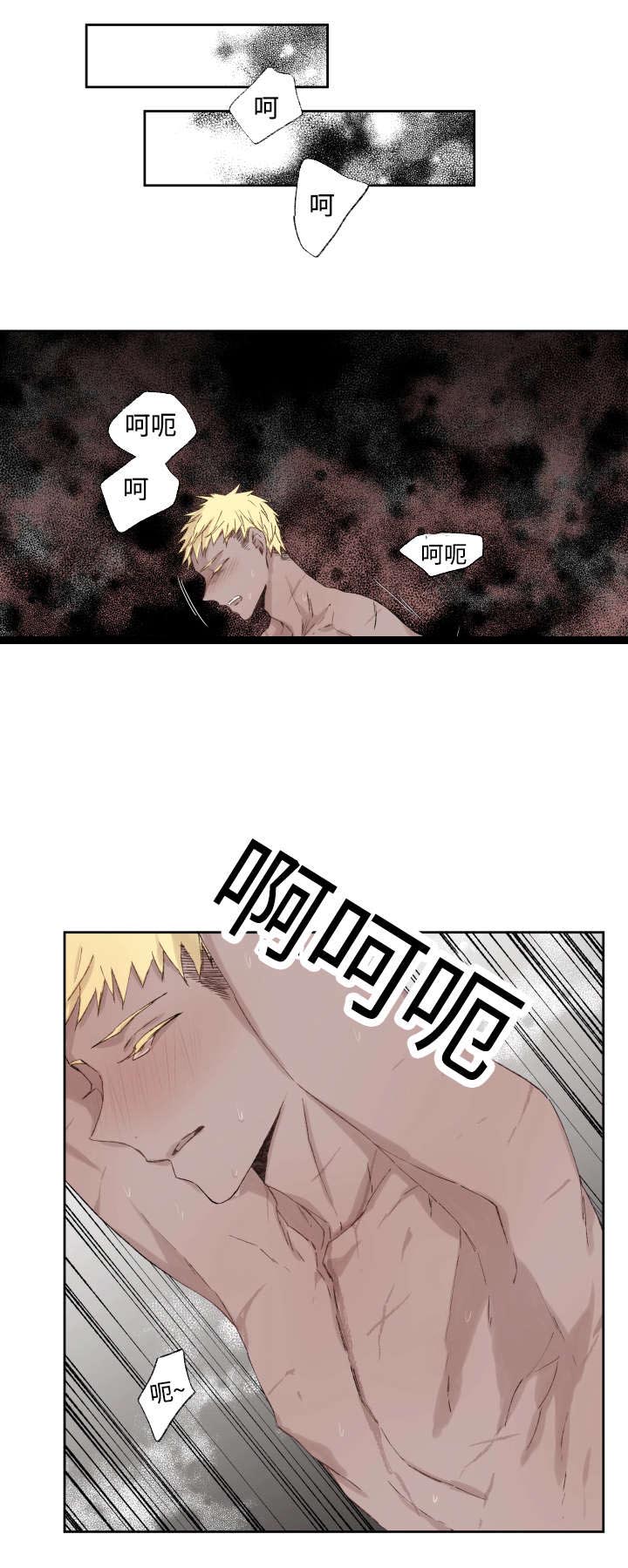 巫师与狼第37话图