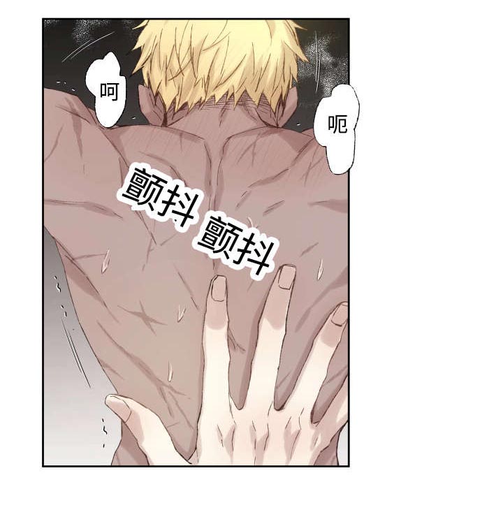 巫师与狼第37话图