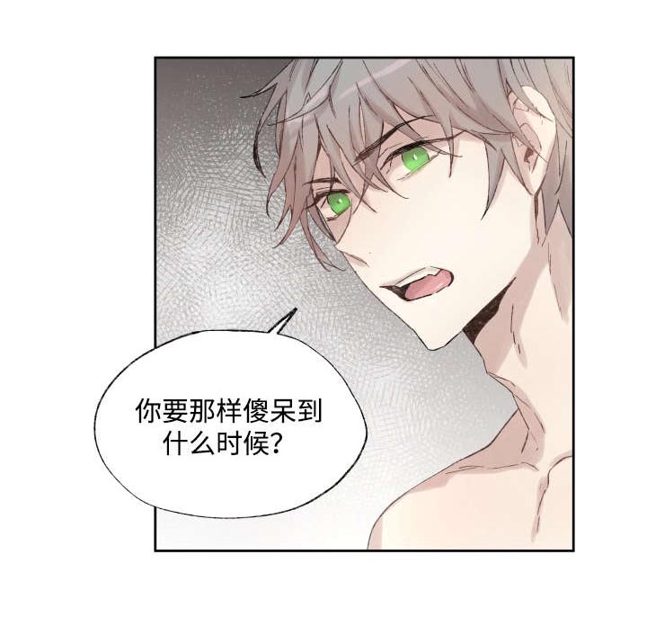 巫师与狼第38话图