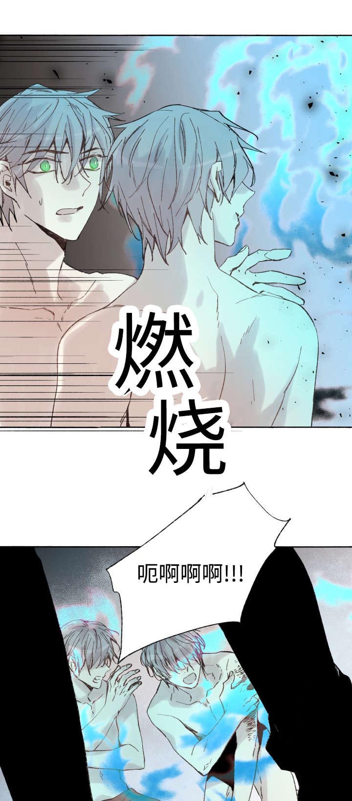 巫师与狼第40话图