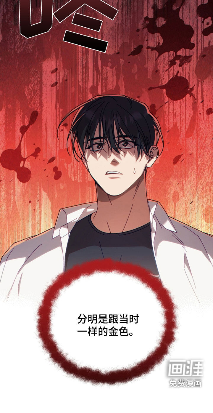 误入狼群第35话图