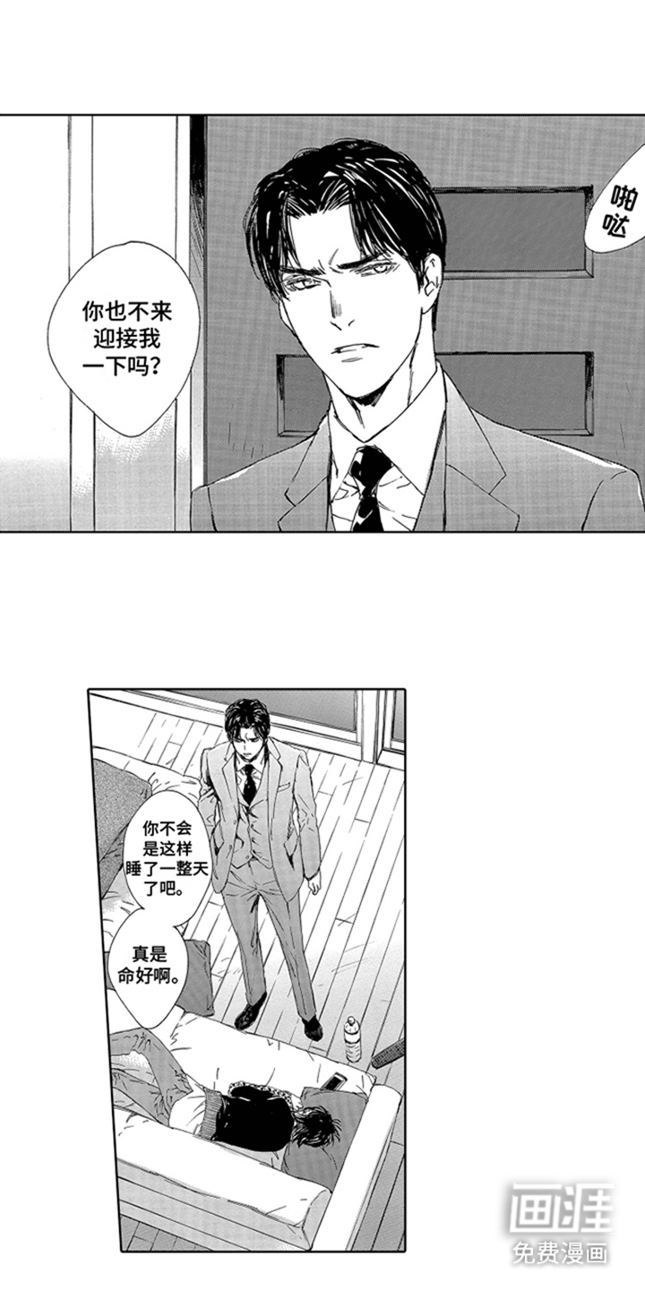 伪装恋人第10话图