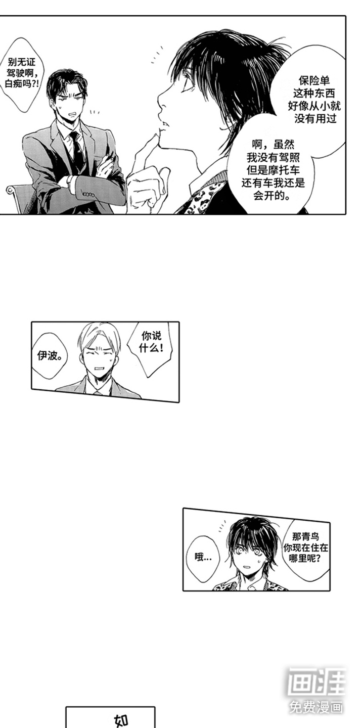 伪装恋人第4话图