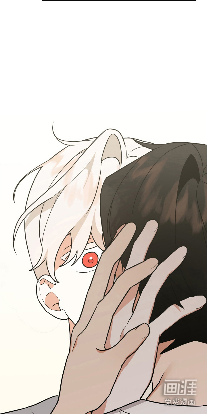 我亲爱的敌人第20话图