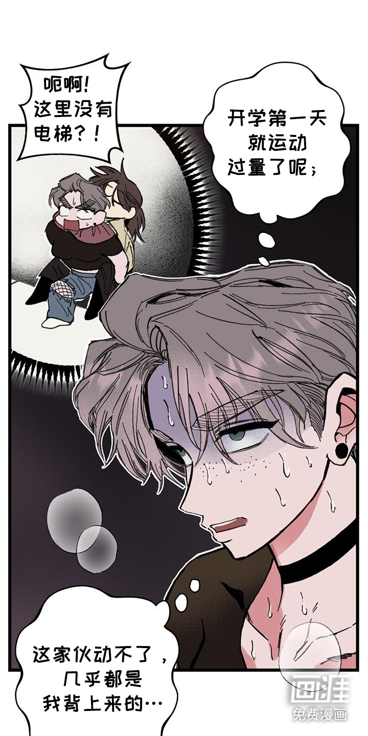 微醺蔷薇第6话图