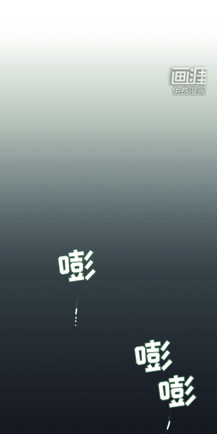 我的小笨熊第10话图