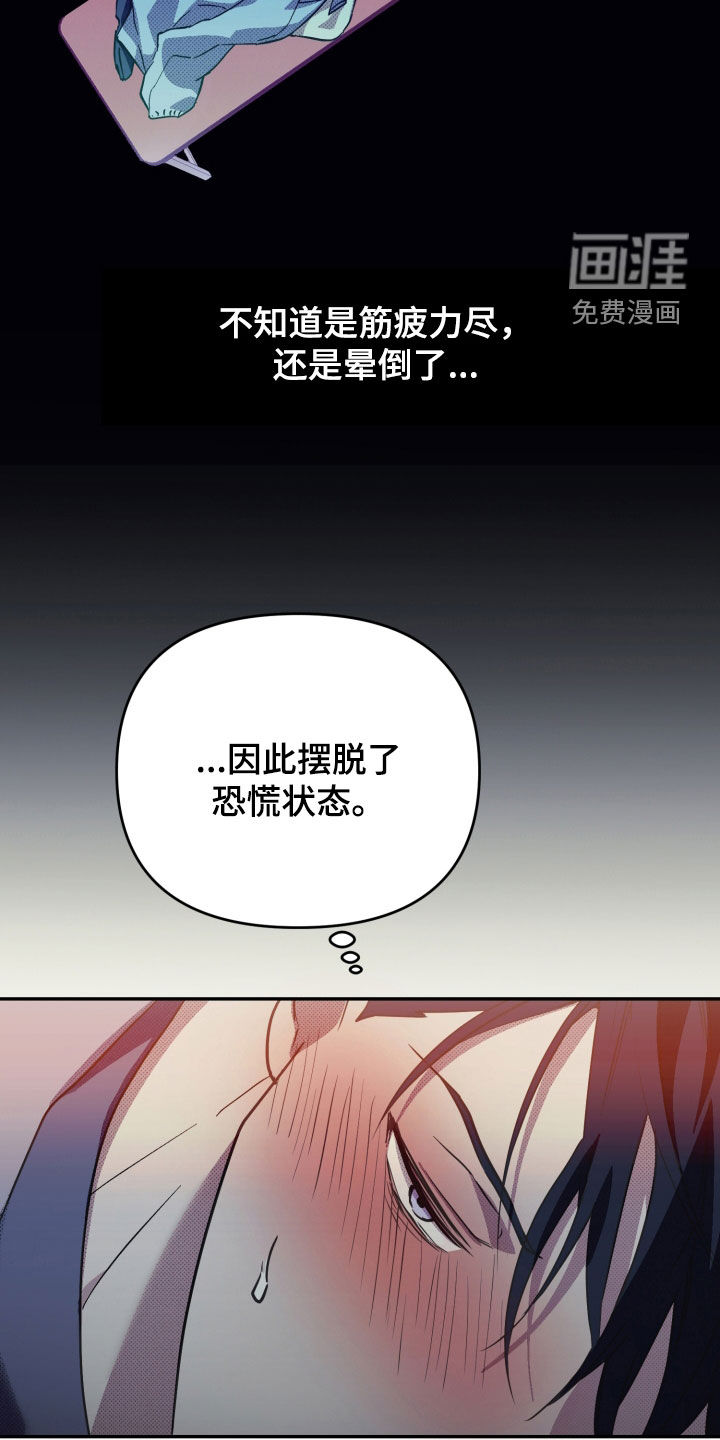 我的小笨熊第10话图