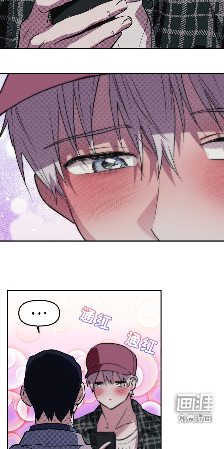 我的小笨熊第10话图