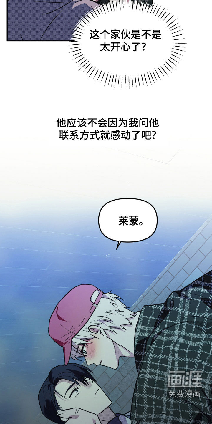 我的小笨熊第10话图