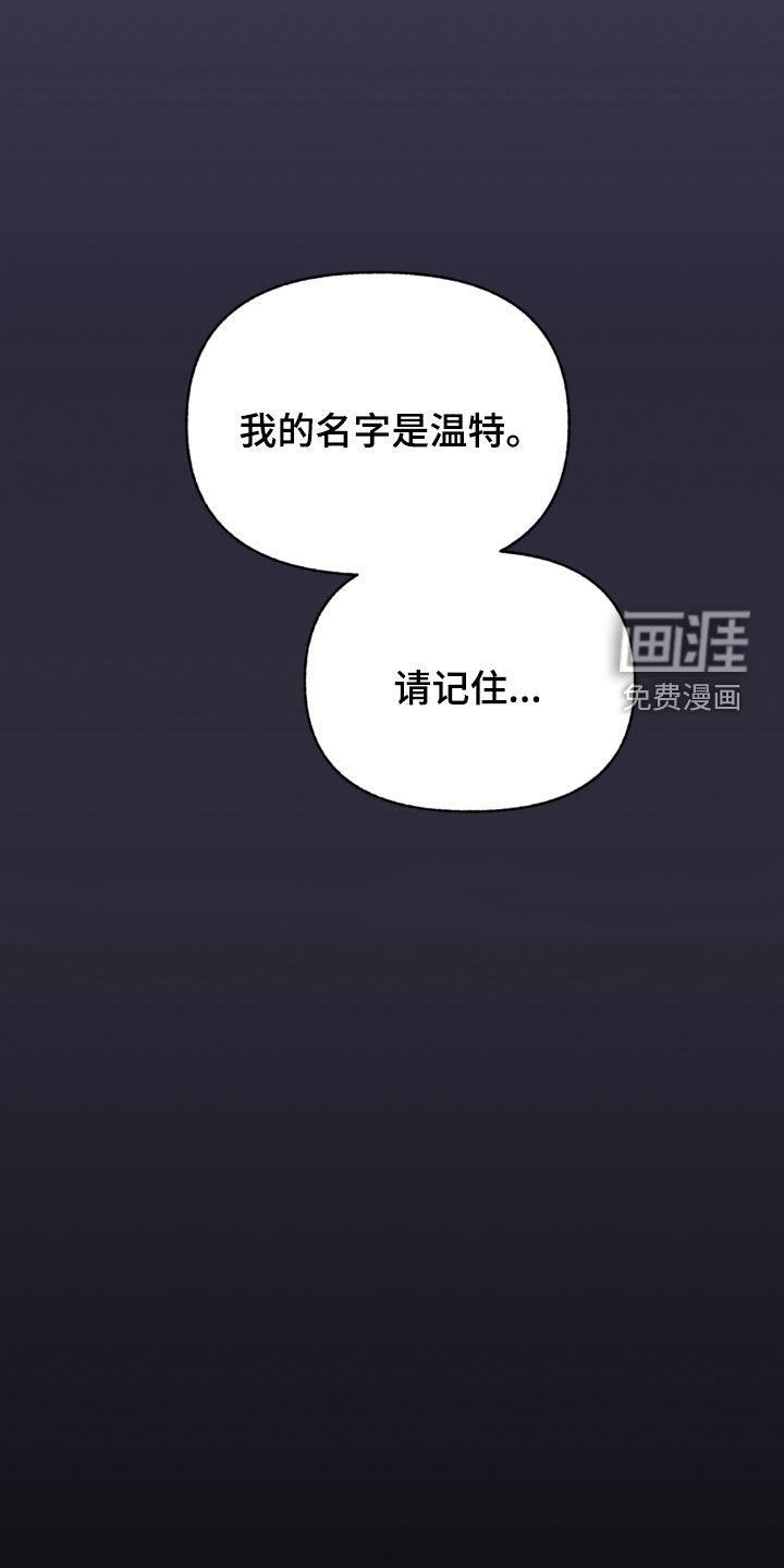 我的小笨熊第12话图