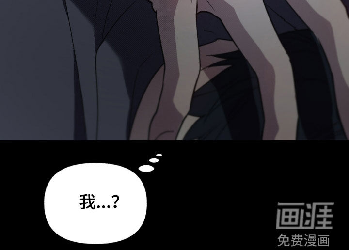 我的小笨熊第12话图