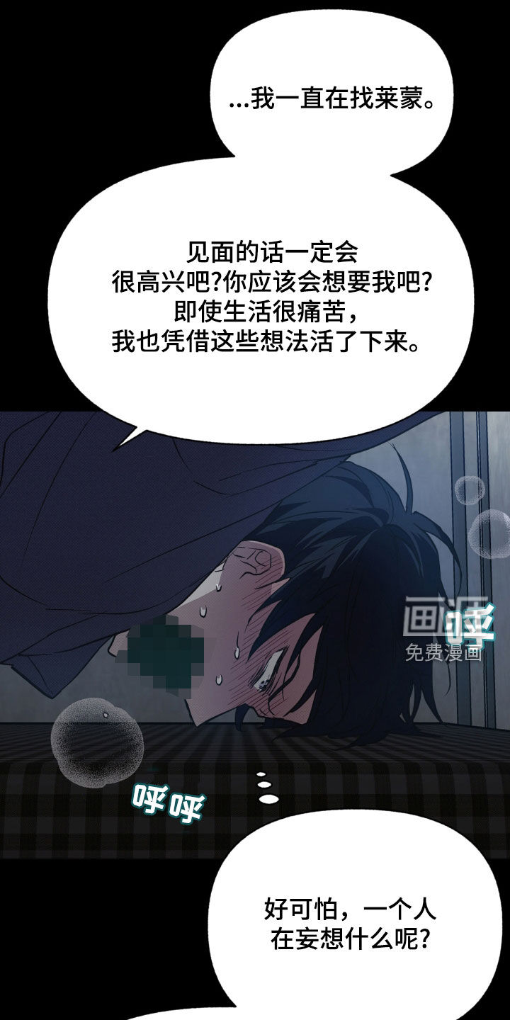 我的小笨熊第13话图