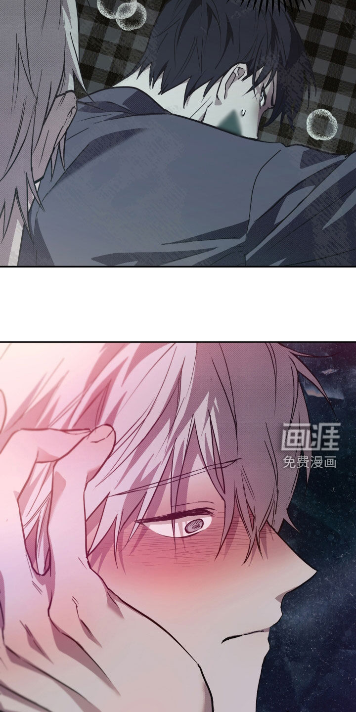 我的小笨熊第13话图