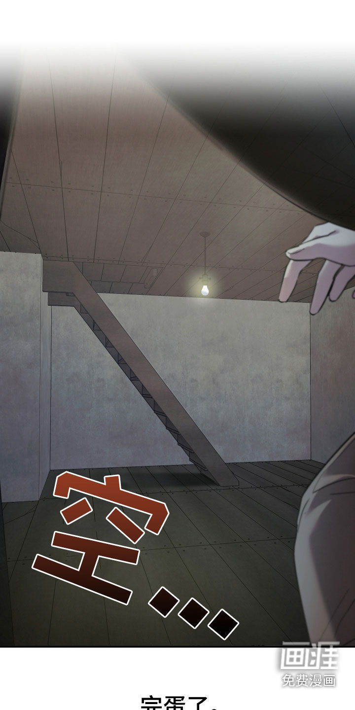 我的小笨熊第17话图