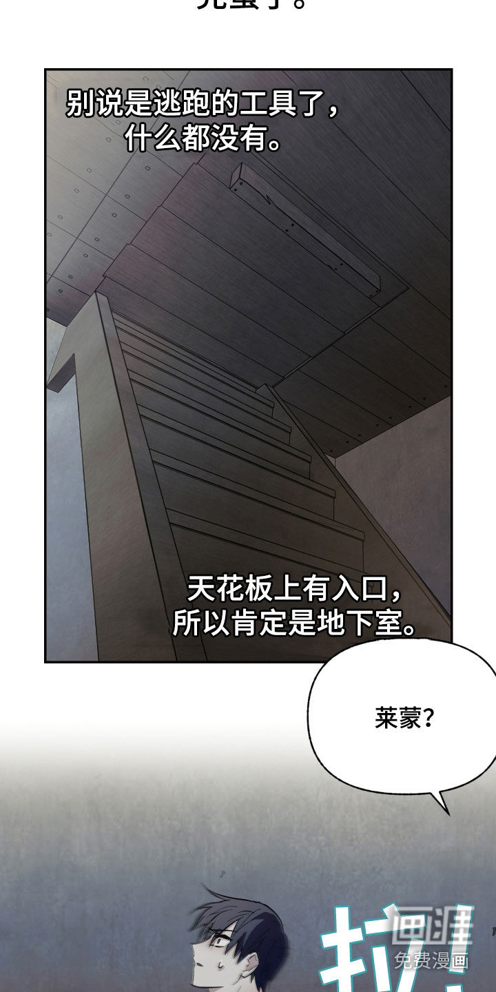 我的小笨熊第17话图