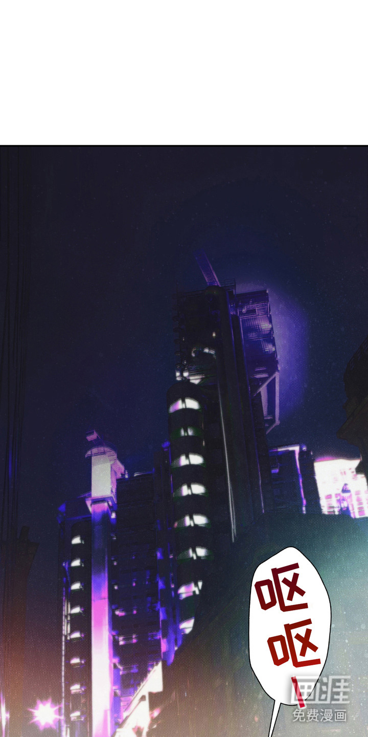 我的小笨熊第2话图