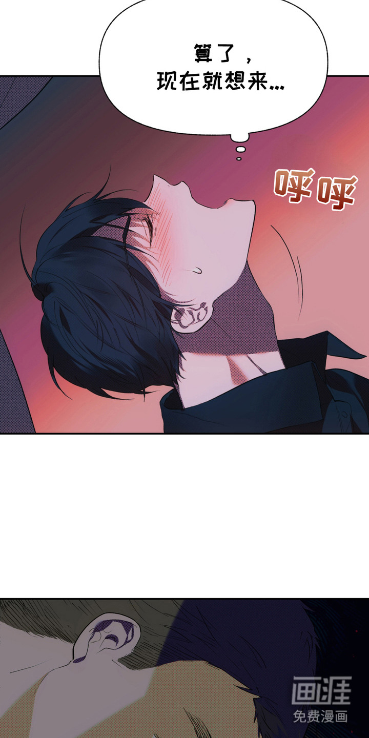 我的小笨熊第2话图